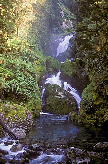 Mackay Falls, the Milford Track, the South Island 1999