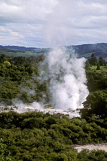 The Whakarewarewa thermal valley in Rotorua, the North Island 1999