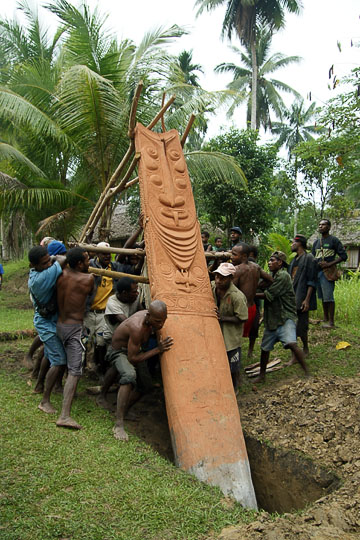 Teamwork in erecting a pillar of a new Haus Tambaran (Spirit House) in Yamok, the Sepik River 2009