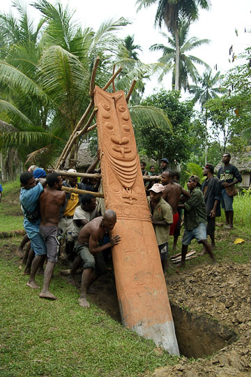 Teamwork in erecting a pillar of a new Haus Tambaran (Spirit House) in Yamok, the Sepik River 2009