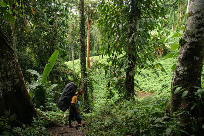 My personal porter Rommy in the bush, The Kokoda Trek 2009