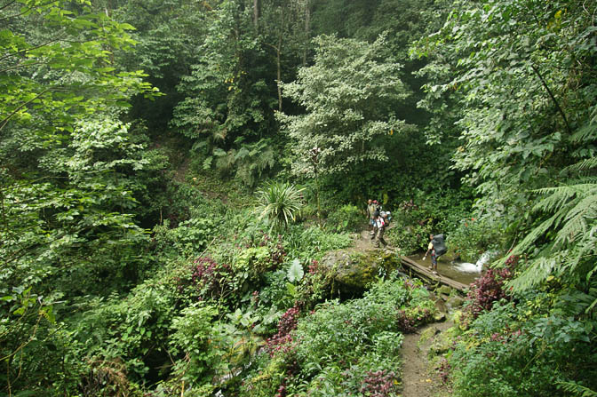 The boys (the local trekking team) cross a stream, The Kokoda Trek 2009