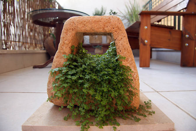 A plant overflows from a stone flowerpot in the balcony, 2009